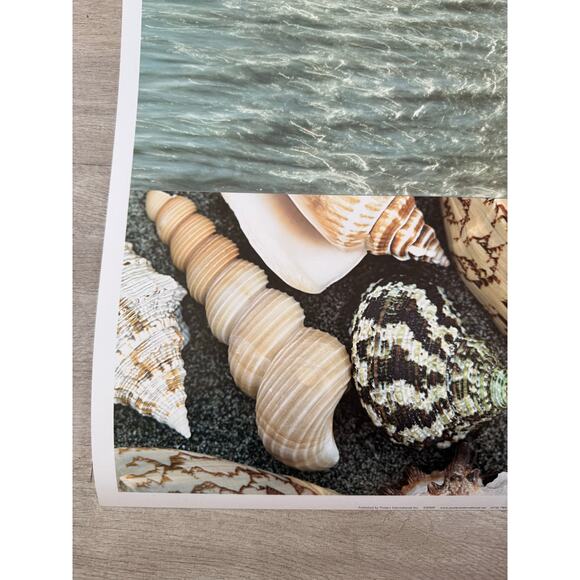 Karla West “Rushed Ashore” Fine Art Print  19” Square - Picture 7 of 8
